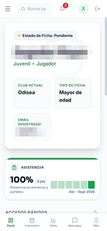 Panel del jugador en el móvil